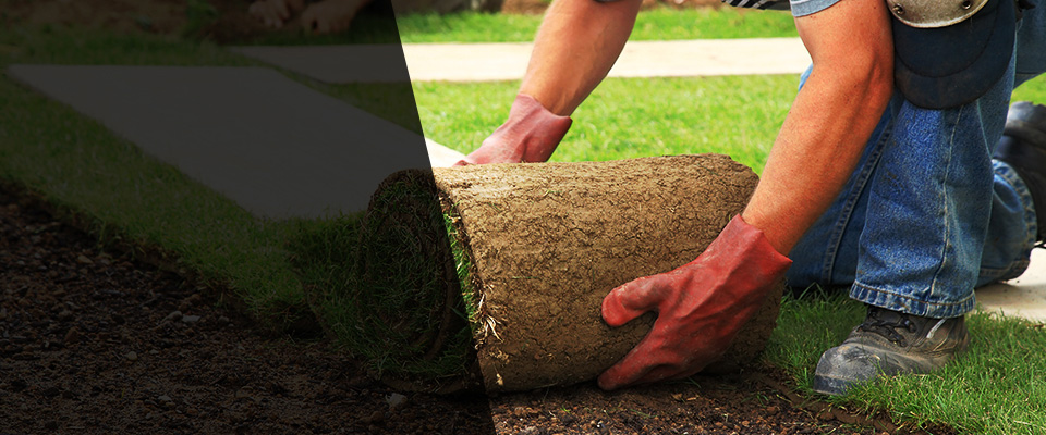 West Portsmouth Landscapers